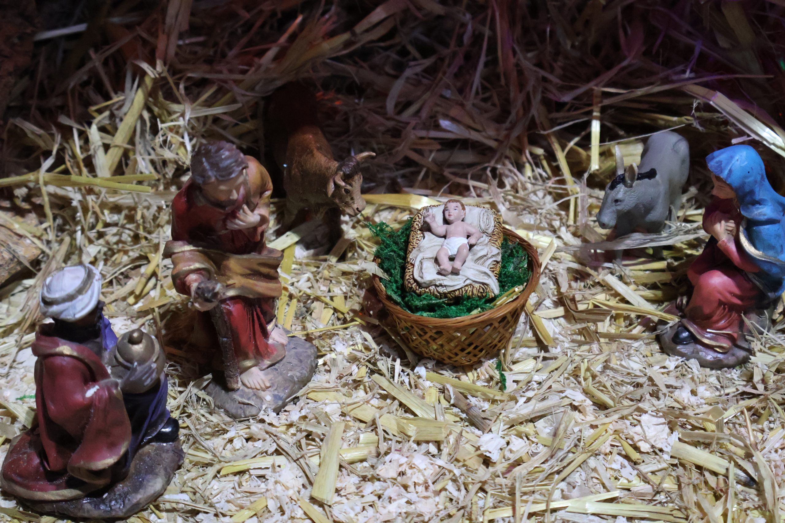 Presepio7